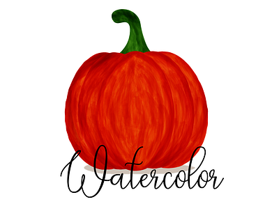 Pumpkin watercolor in illustrator graphic design illustration illustrator pumpkin illustrator pumpkin watercolor watercolor