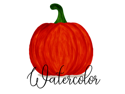 Pumpkin watercolor in illustrator