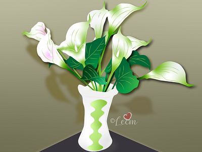 white Calla lily vector graphic design illustration illustrator white calla lily illustration