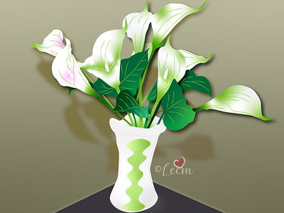 white Calla lily vector