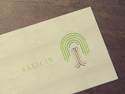 Salicin branding creative design flatdesign graphic design illustration illustrator cc logo logodesign simple design typography vector