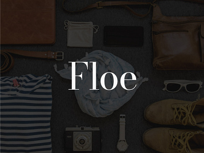 Floe | Branding app branding design graphic design illustration logo typography ui ux vector