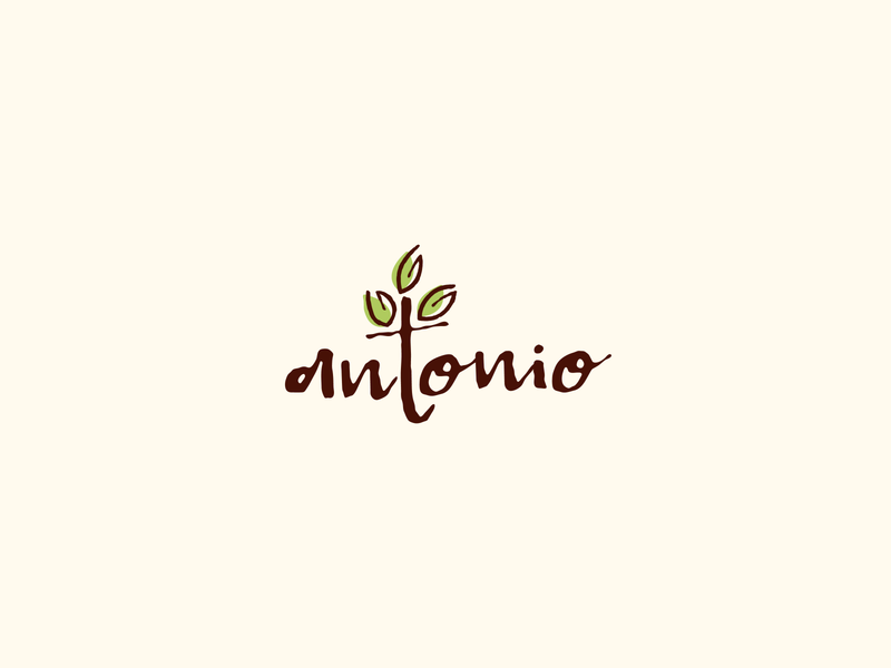 Antonio Logo Design branding brown coffee design graphic design green illustration illustrative logotype leaf logo tree typeface typography vector