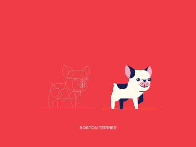 VectorBreeds (Boston Terrier) boston terrier breed character design digital art dog illustration graphic design illustration illustrator mascot vector vectors