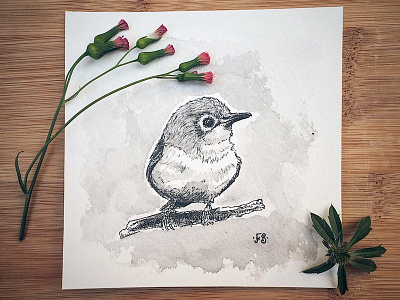 Inktober drawing art bird drawing fine art illustration ink inktober watercolor