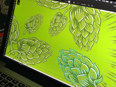 Vector hops WIP branding digital art graphic design hops illustration vector