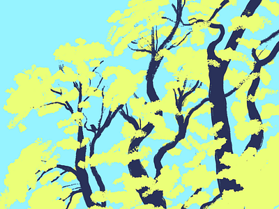 Trees