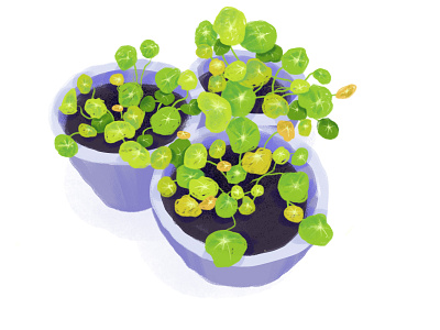 Plants adobe fresco drawing green illustration nature plants texture