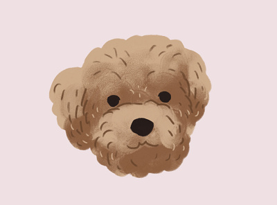 Fluffy doggo dog illustration poodle