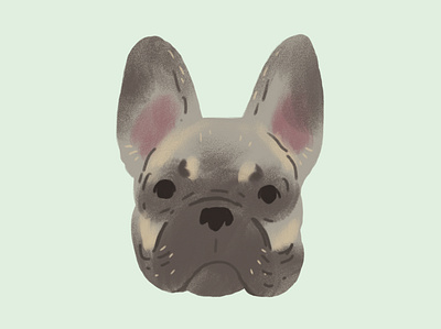 Frenchie doggo dog french bulldog frenchie illustration