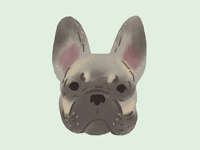 Frenchie doggo dog french bulldog frenchie illustration