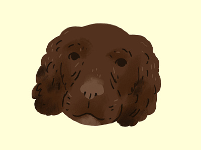 Chocolate doggo dog drawing illustration