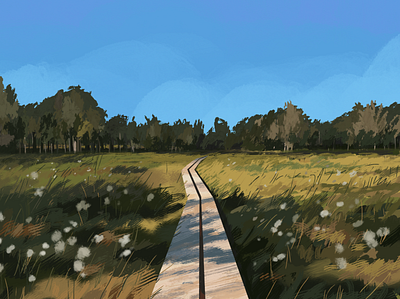 Summertime in Estonia drawing estonia field illustration landscape nature procreate summer