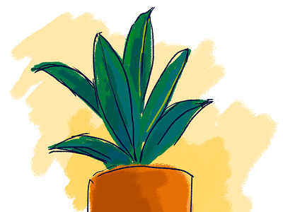 Plant illustration illustration photoshop wacom