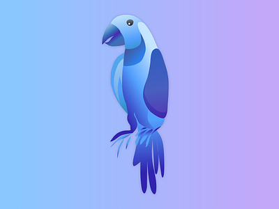 Parrot design illustration logo parrot