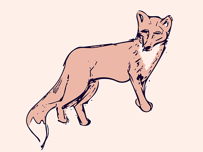 Fox fox fox illustration illustration sketch