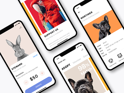 Adopt, Don't Shop adopt adoption animal animal shelter animals charity dog donate donation donations french bulldog help mobile app mobile ui pet portfolio purchase shelter support