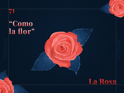 La Rosa