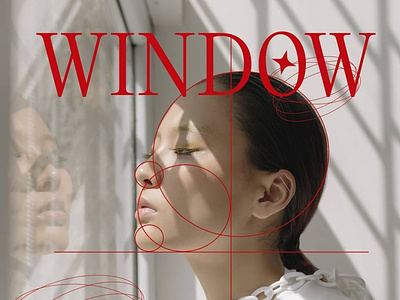 WINDOW REFLEXIVE