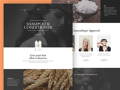 Kemistry Hair landing page orange ui web web design website
