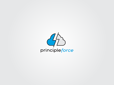 principleforce logo cloud logo spec