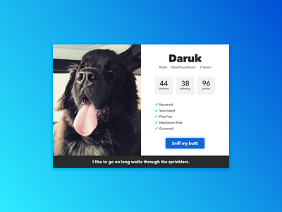 006: User Profile dailyui dog interface pets profile sketch ui uiux userprofile
