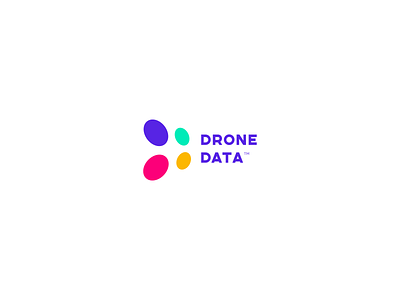 DroneData branding design logo