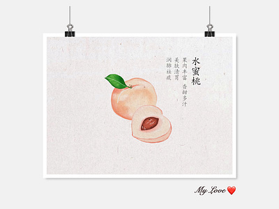 水蜜桃peach illustration ui
