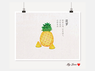 菠萝pineapple illustration