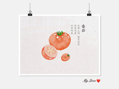 番茄tomato illustration