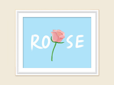 玫瑰rose illustration