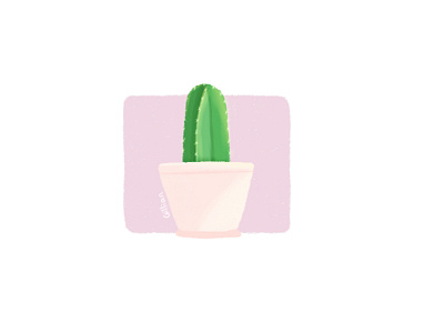 Cactus illustration ui