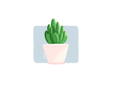 Cactus2 illustration