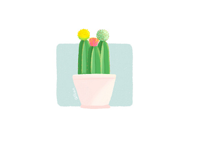 Cactus icon illustration