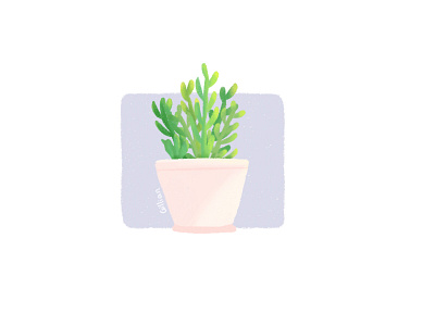 Cactus design icon illustration ui