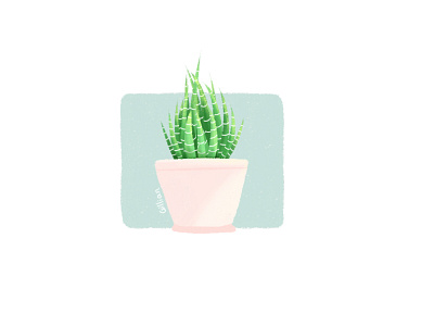 Cactus illustration ui