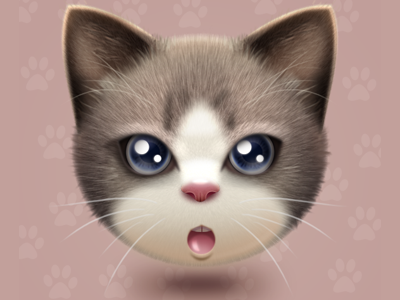 Hello Dribbble cat icon