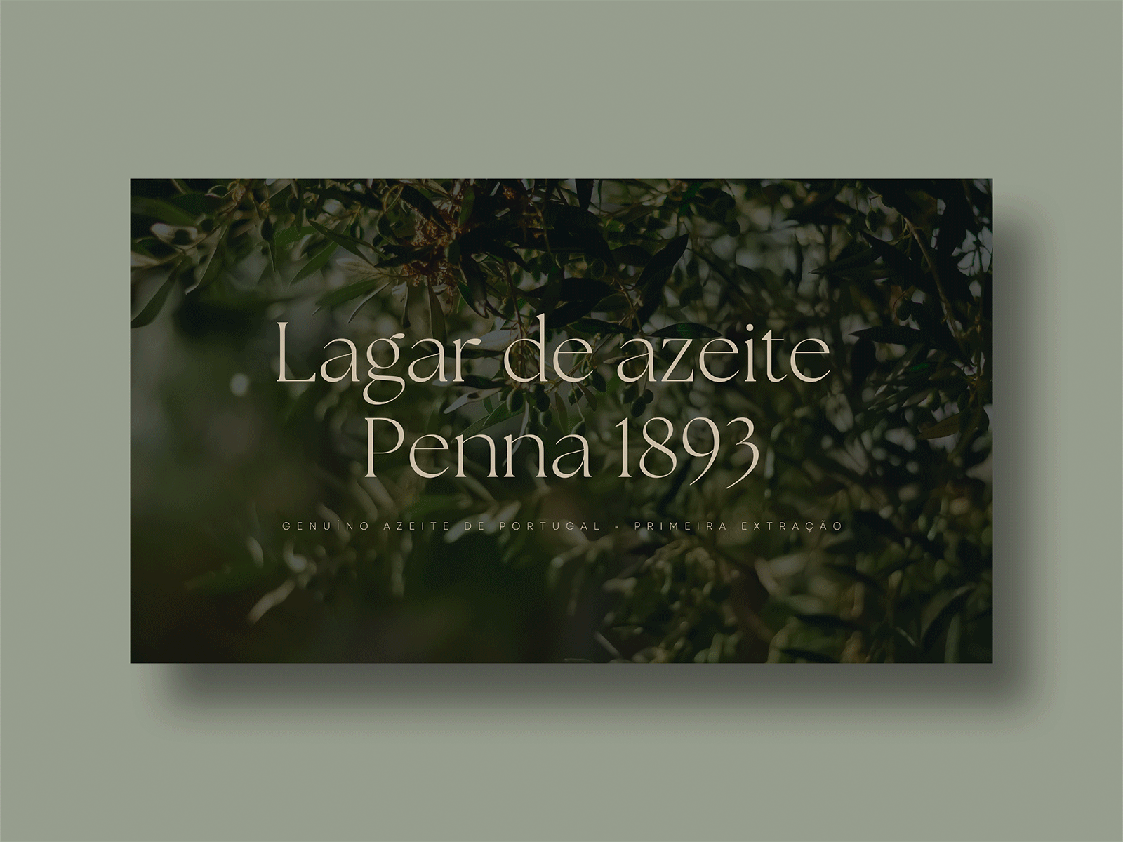 "Lagar de azeite Penna 1893" Website design web design