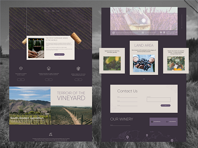 DryRed Winery   / concept /