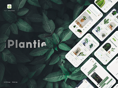 MobileApp iPlantie🌿 app concept design plant ui ux