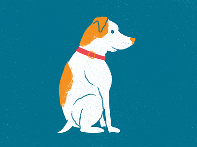 Petey brushes dog drawing illustration illustrator jack russell julieta felix photoshop psd texture transparencies vector