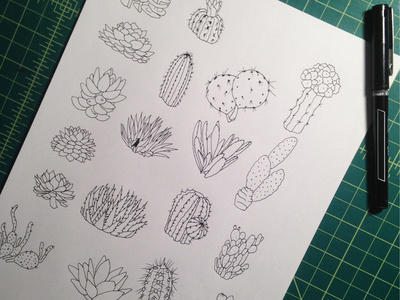 Succulents