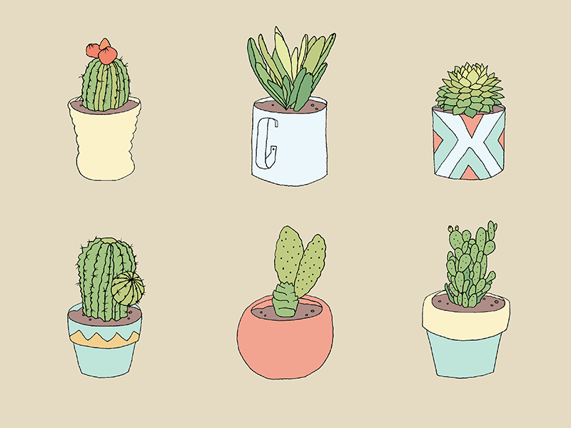 Design in the desert cacti drawing illustration psd pastels poster phoenix design week desert succulents julieta felix turquoise southwest