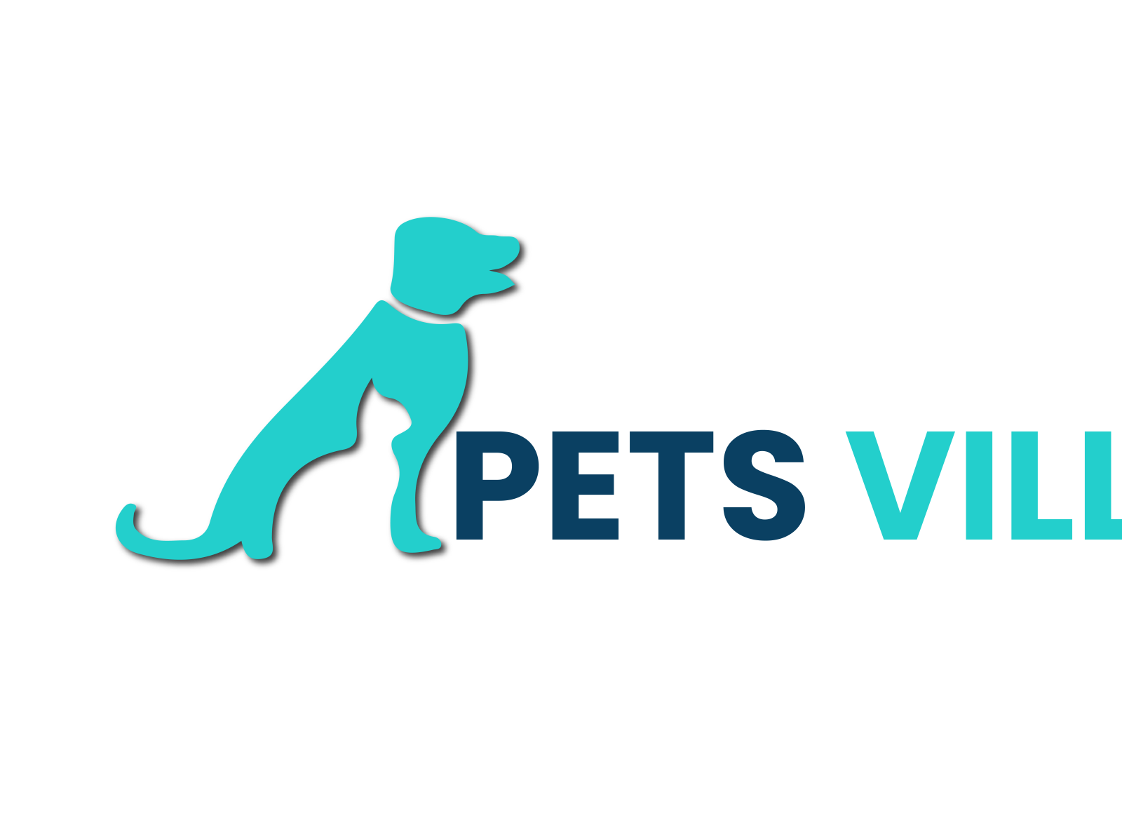 how long do cats live by Publication Media on Dribbble