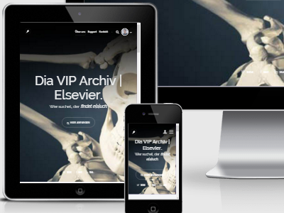Dia Vip Archiv Elsevier webdesign