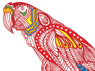 Parrot Illustration artist aztec colour designer graphic illustration line parrot vector