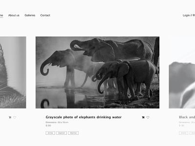 Website photographies animal black white black and white blackandwhite cart design ecommerce elephants photo photography web webdesign website website design