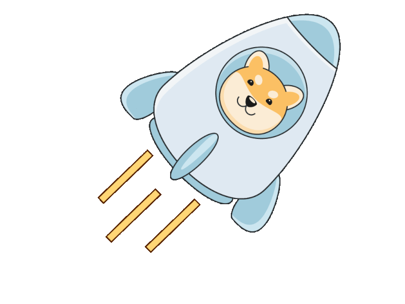 doge animation art cartoon character design doge elon musk graphic illustration moon rorcket spacex vector