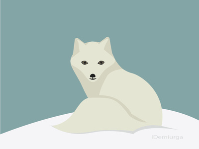 Arcticfox animal arctic arcticfox cartoon flat fox graphic icon illustration vector winter