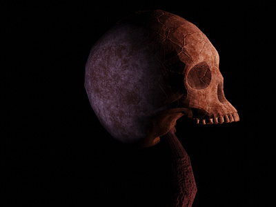 Skull 3d 3d art art cg design graphic illustration old skull